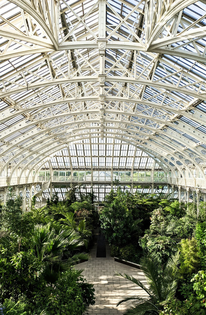 Scenes from gardens featured on EDEN ROWE
