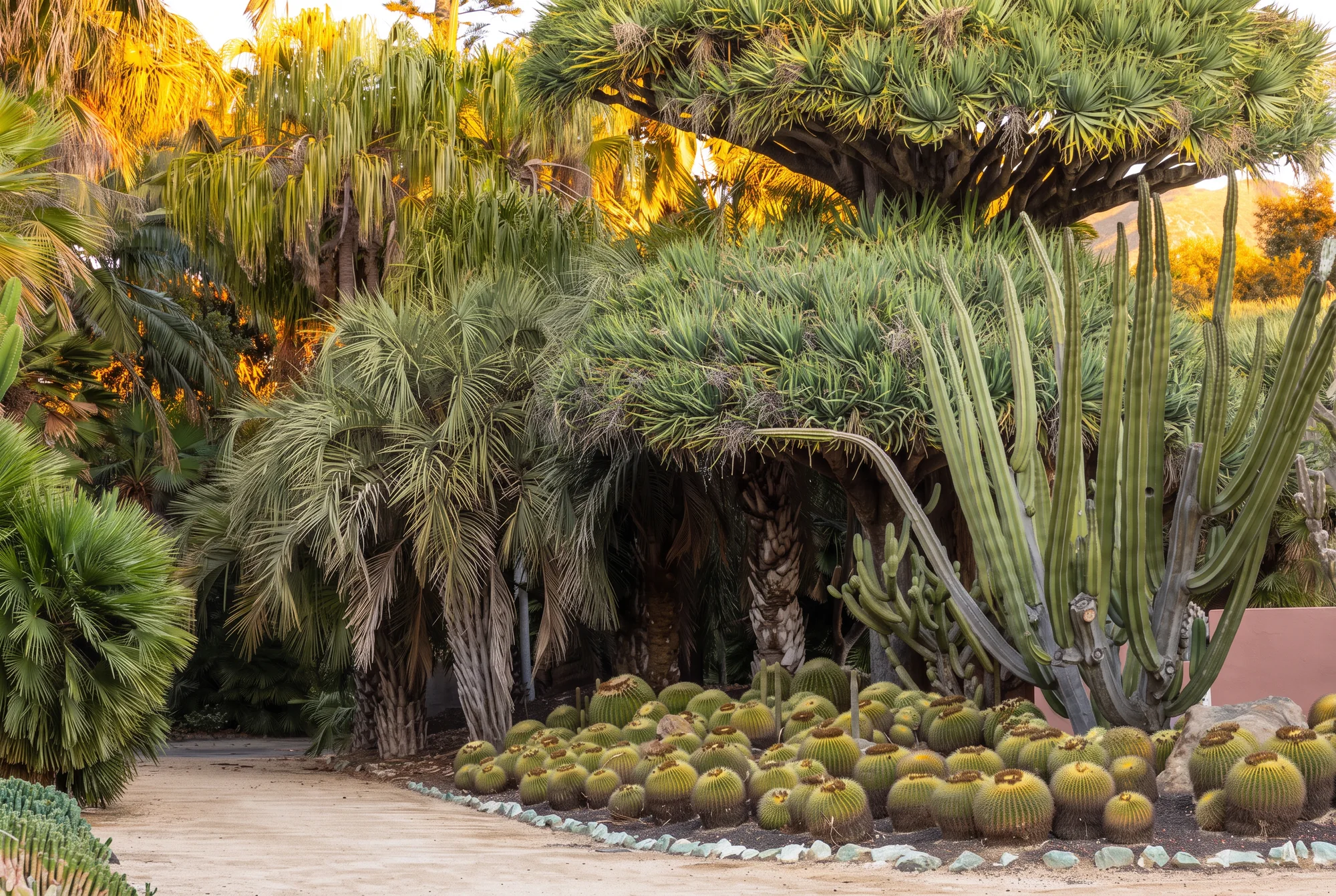 The Best Botanical Gardens in the US